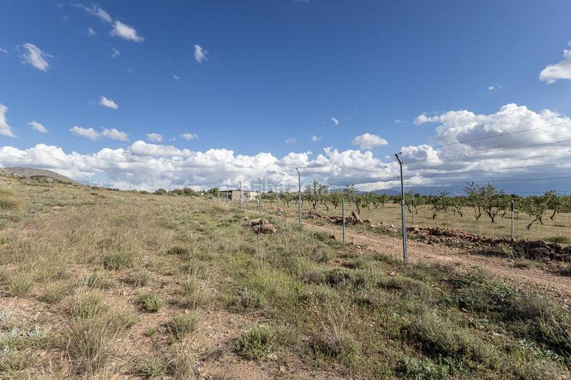 Foto baa42d37-5b6a-4561-8521-123eb46db91e. Finca rústica a Guadix