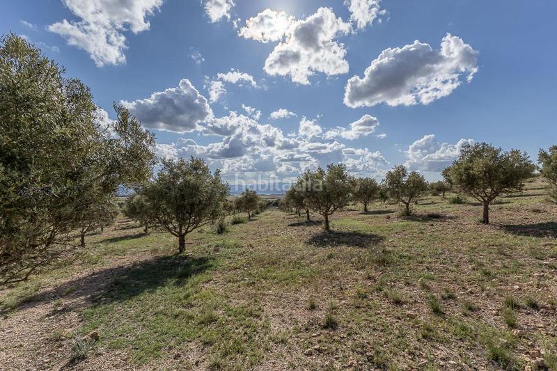 Foto d779fbcc-a9f1-42b1-b6a9-ea3e23404ea0. Finca rústica a Guadix