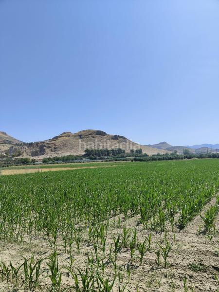 Foto a1dd55d5-28fe-489e-a1f4-72cdffb43610. Landgut in carretera carretera de pinos puente in Atarfe