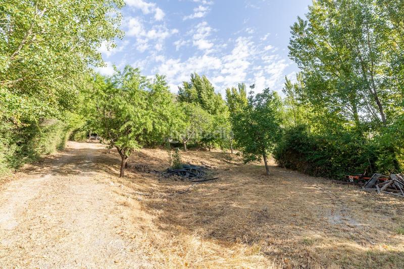 Foto 5186ef79-7fe2-492a-b5b1-368547e8644f. Masía gran finca con vivienda registrada en Cogollos de la Vega