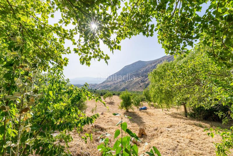 Foto 5a38d61a-7e48-4b61-945e-268f51498ab4. Masía gran finca con vivienda registrada en Cogollos de la Vega