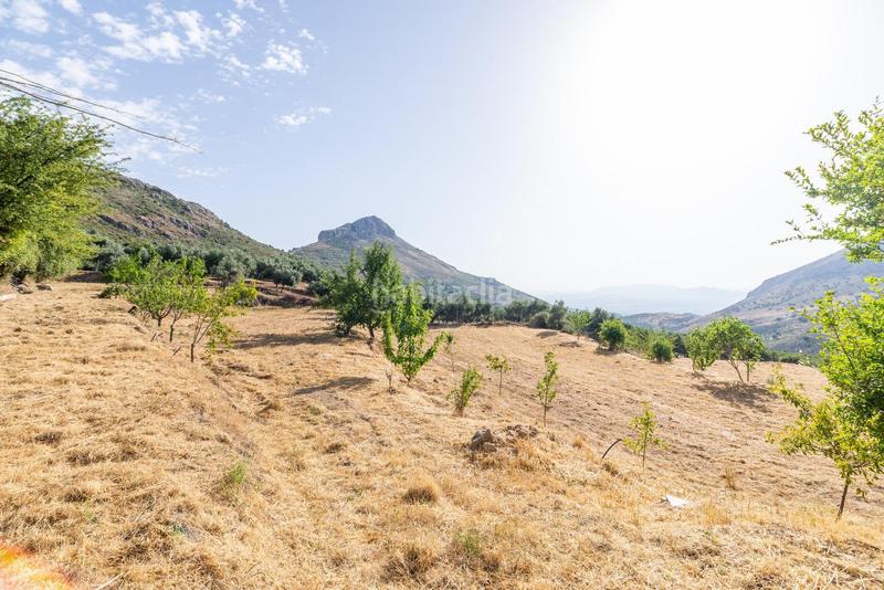 Foto bb68eeaa-5a89-460e-9105-102dd5fde92b. Masía gran finca con vivienda registrada en Cogollos de la Vega