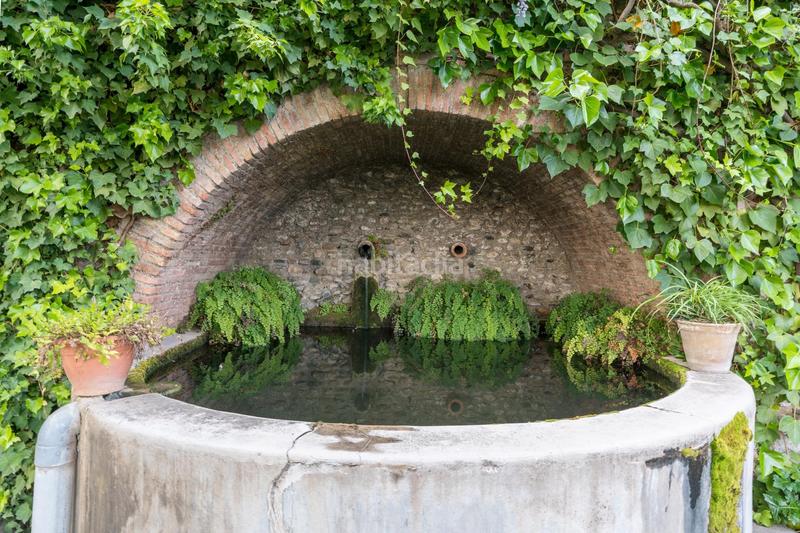 Foto 74832a07-07a0-4aa0-85da-52fc1f37612d. Maison avec parking piscine dans San Matías - Realejo Granada