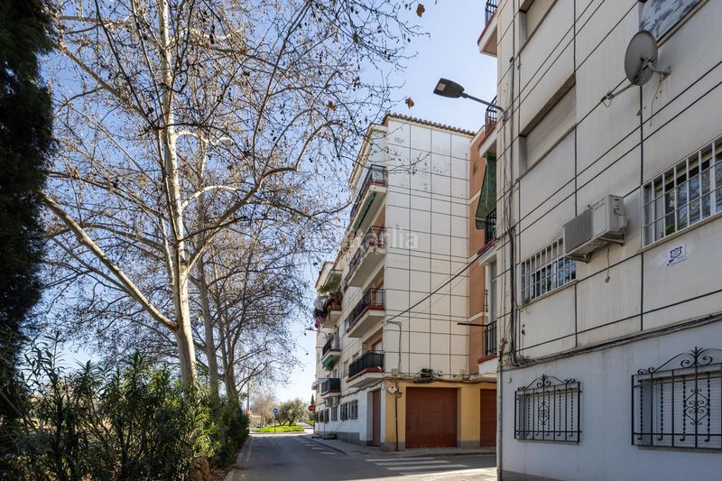 Foto a34bfac1-cb1a-4167-8e87-3a4ba332b89f. Pis a Cerrillo de Maracena - Periodistas Granada