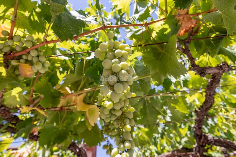 Foto f9176348-ee27-491e-bec3-59bd35bbf419. Casa amb aparcament piscina a San Francisco - El Chorrillo Gabias (Las)