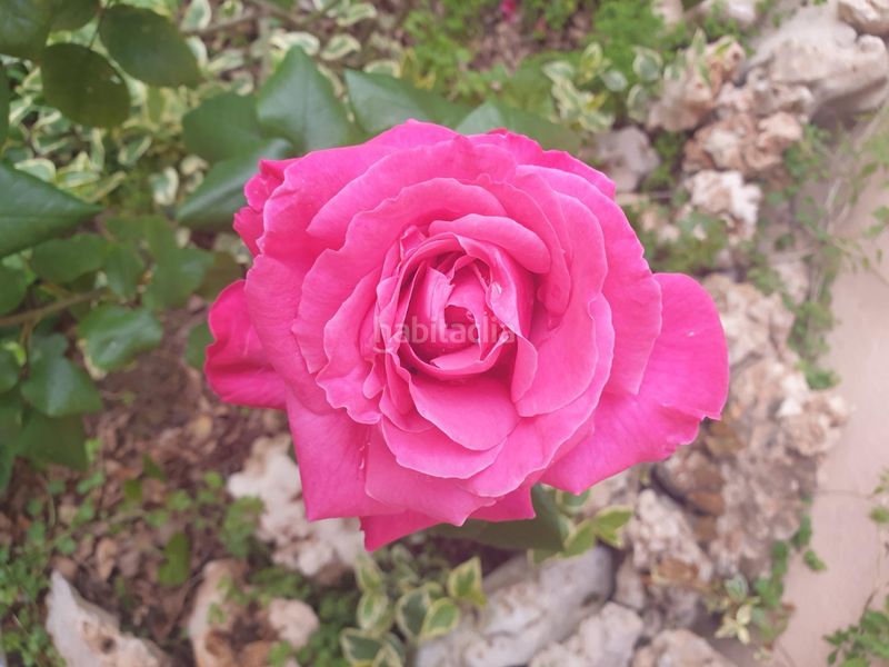 Foto f9a8d1fa-8d3f-4fc9-8c5f-350c215bebf7. Casa amb aparcament piscina a San Francisco - El Chorrillo Gabias (Las)