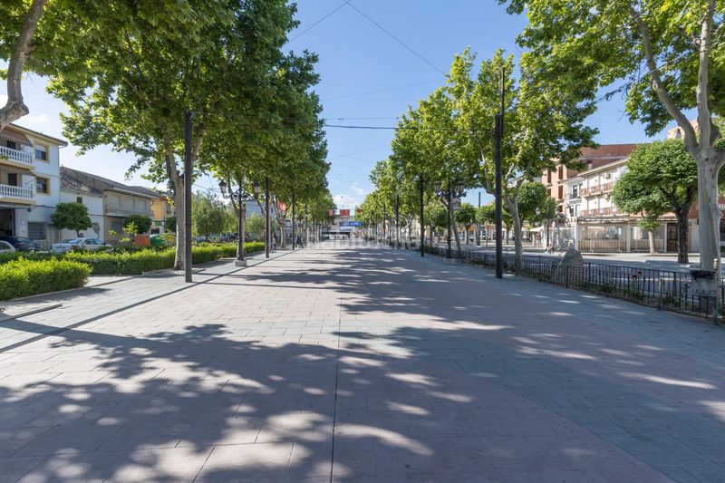 Foto 43e7f204-b743-41ca-b604-953d032d040e. Local comercial a paseo paseo prado 7 a Fuente Vaqueros