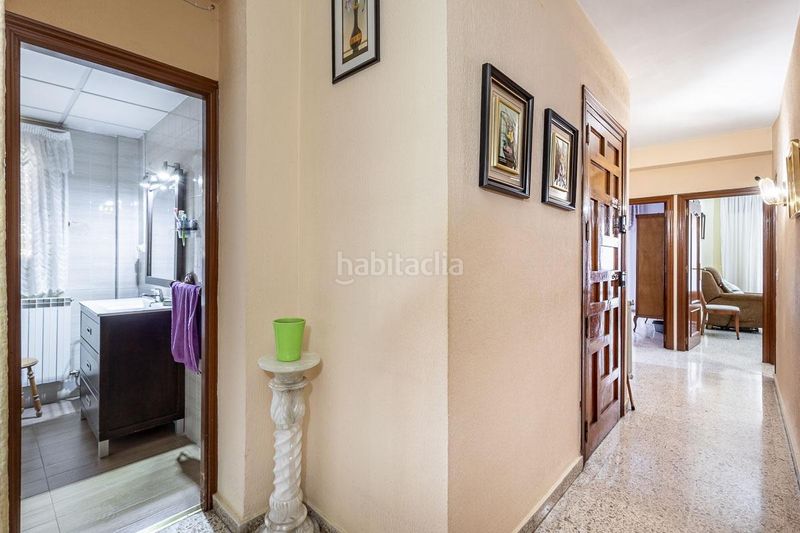 Foto b7a3085f-45b3-4247-a065-1dd67a5c4274. Pis a Peligros