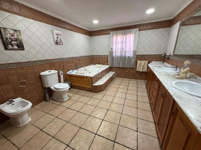 Foto 687e5001-10d0-414d-ba5c-38c7f9edbe3b. Chalet espectacular chalet independiente con piscina y barbacoa en el zabal en Línea de la Concepción (La)