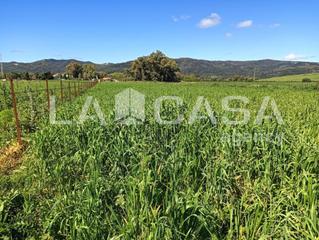 Terreno residencial en Barrios (Los)