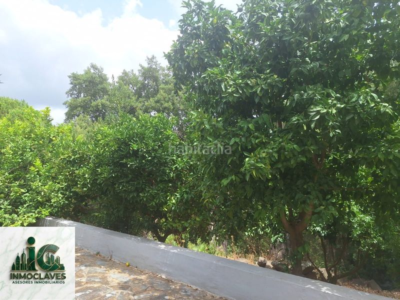 Foto 2ce8a506-c4a9-4427-a508-058f93ff69b0. Finca rústica a Barrios (Los)