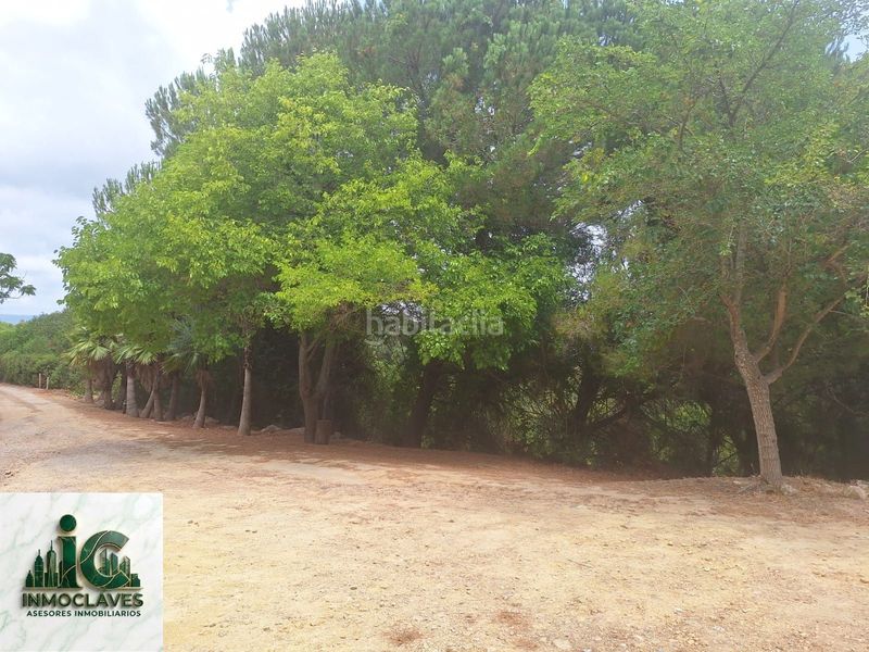 Foto a78c0d18-2d45-43e5-b856-12e5cf60cbba. Finca rústica a Barrios (Los)