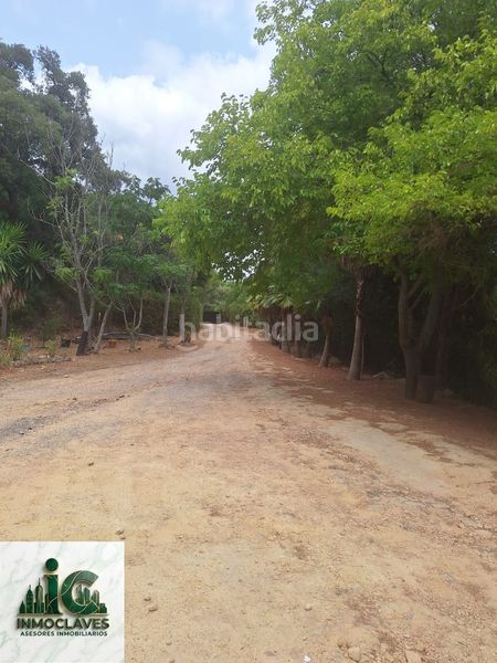Foto cd5a71e1-b963-4d72-9abc-273dee6a92a2. Finca rústica a Barrios (Los)