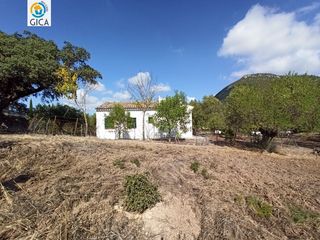 Mas�a en Bosque (El). Casa con parcela  en la sierra de cadiz el bosque