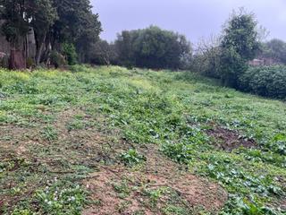 Terreny residencial a El Juncal - Vallealto. Se vende parcela urbanizable en el poblado de doña blanca