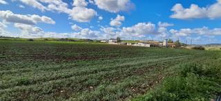 Terreny residencial a Arcos de la Frontera. Parcela en arcos de la frontera en majadales