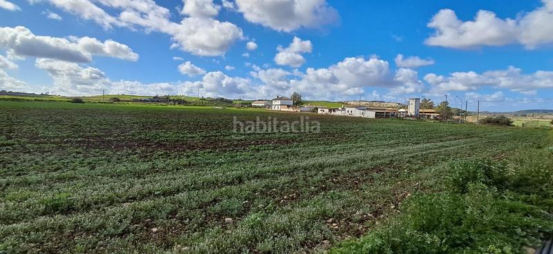 Foto 228953cd-7084-4474-ad1b-1c1674c5c397. Residential plot in Arcos de la Frontera