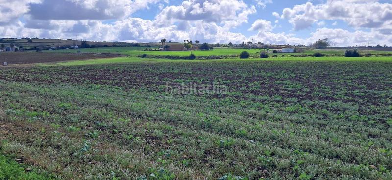 Foto 316b09f1-f386-41ad-a8e6-17c14bb20a75. Residential plot in Arcos de la Frontera