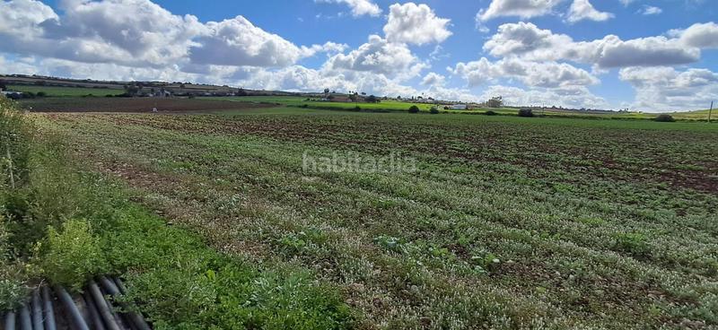 Foto 96225bb7-0082-4bfa-93ec-05016806eebc. Residential plot in Arcos de la Frontera