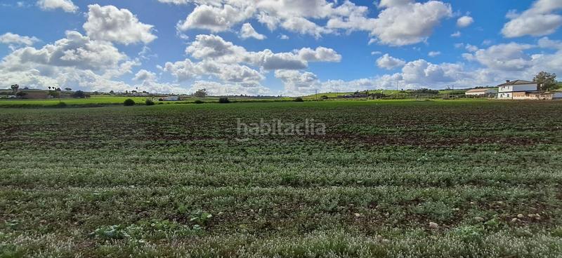 Foto b8ee0310-fc7e-4c2f-9b51-9413be205f35. Residential plot in Arcos de la Frontera