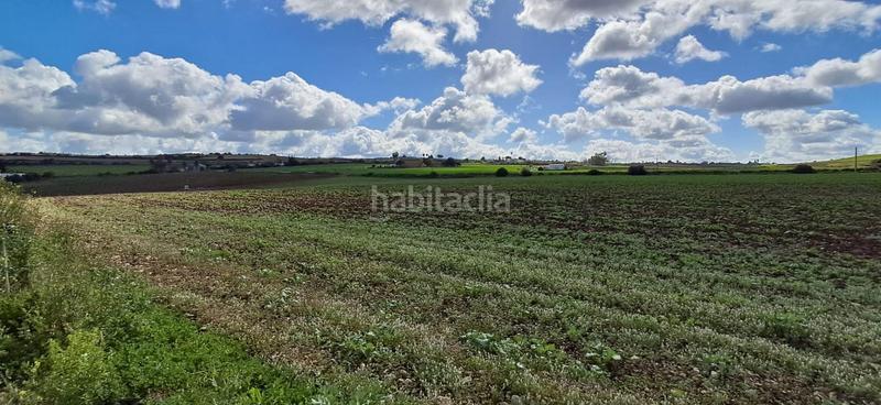 Foto f03db03e-2418-428a-b96d-2c6c755ac8e8. Residential plot in Arcos de la Frontera