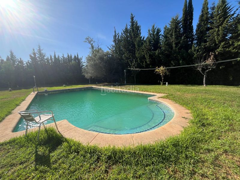 Foto 953d7c07-c3c2-4e7a-8871-d2acef98c86d. Chalet finca urbana de 2600 metros con gran chalet , dos viviendas, trastero y piscina en Jerez de la Frontera