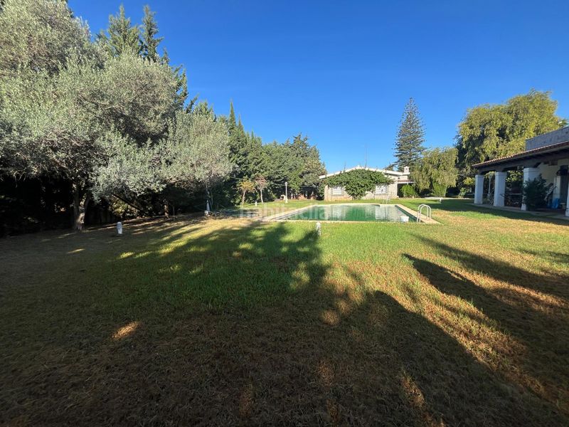 Foto a692e16c-b8b6-413a-9fa5-2b09ba09b62b. Chalet finca urbana de 2600 metros con gran chalet , dos viviendas, trastero y piscina en Jerez de la Frontera