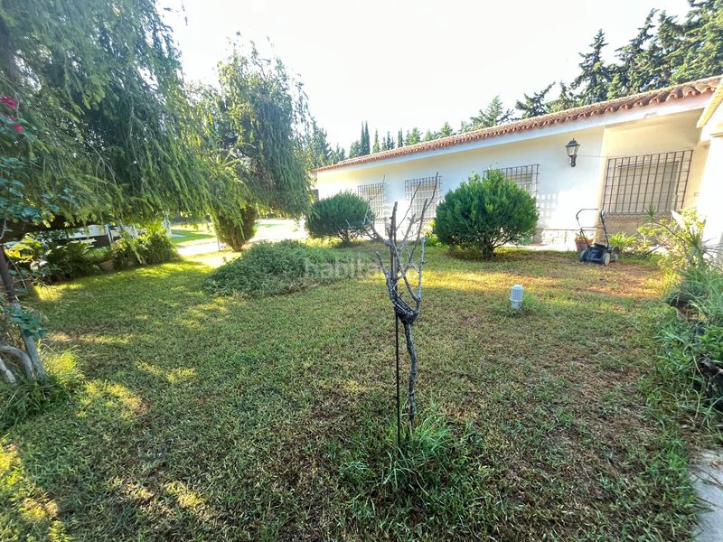 Foto adf8ebcf-8e9f-4bce-99ff-aee51868ce42. Chalet finca urbana de 2600 metros con gran chalet , dos viviendas, trastero y piscina en Jerez de la Frontera