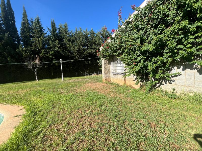 Foto fa9d924b-89a3-4a78-a344-867dfac9706a. Chalet finca urbana de 2600 metros con gran chalet , dos viviendas, trastero y piscina en Jerez de la Frontera