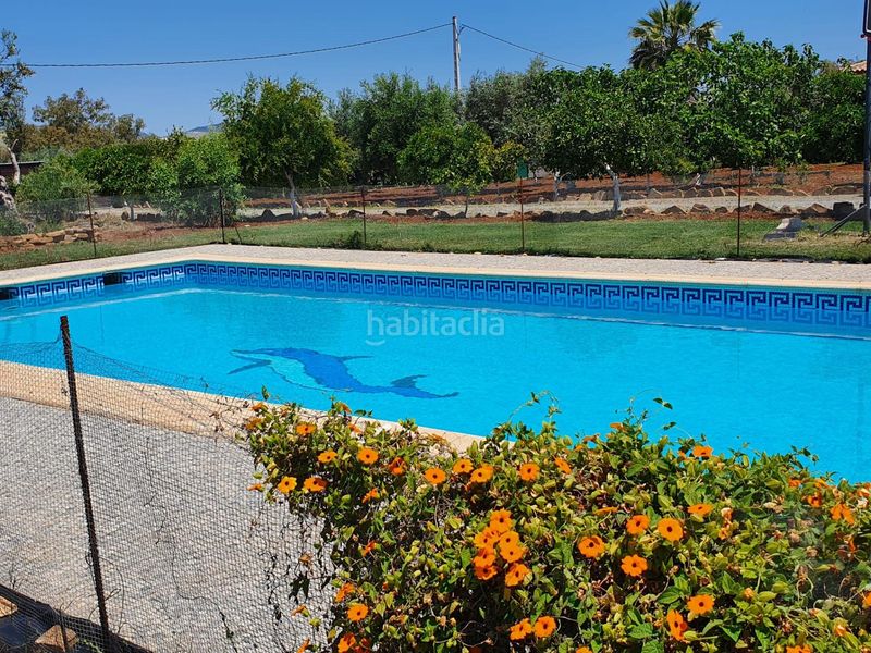 Foto 34538df7-f7ca-4160-975f-31d0920812f6. Casa amb piscina a Coronil (El)