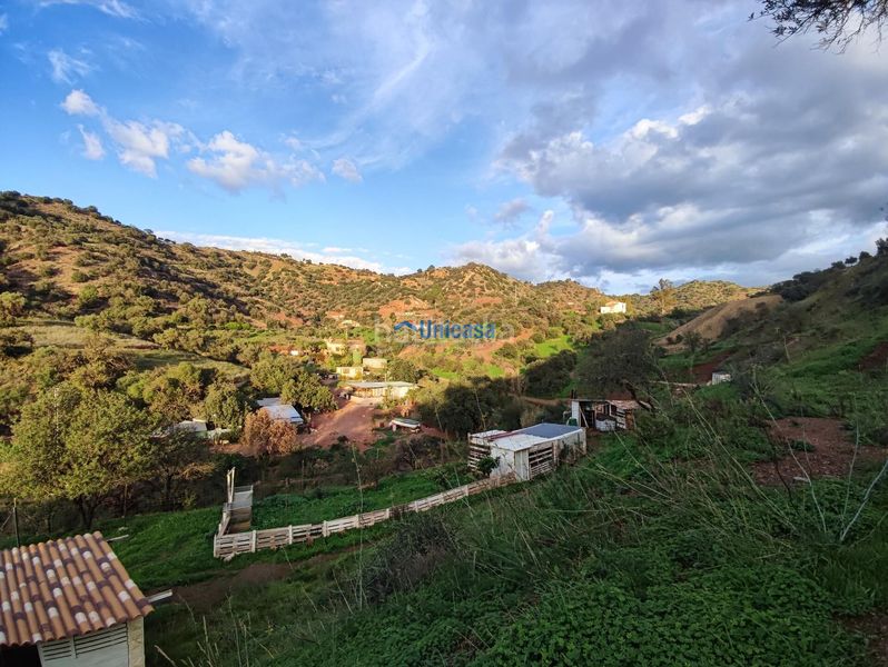 Foto 11259a85-2441-4b67-991b-28d00772cfea. Finca rústica a El Cortijuelo Málaga