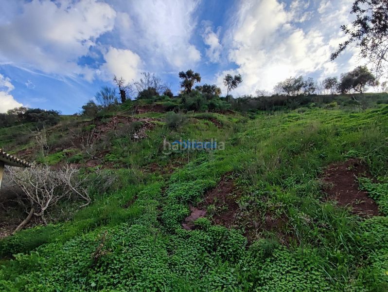 Foto 56085354-6a78-414f-9d82-01b37d860cf6. Finca rústica a El Cortijuelo Málaga