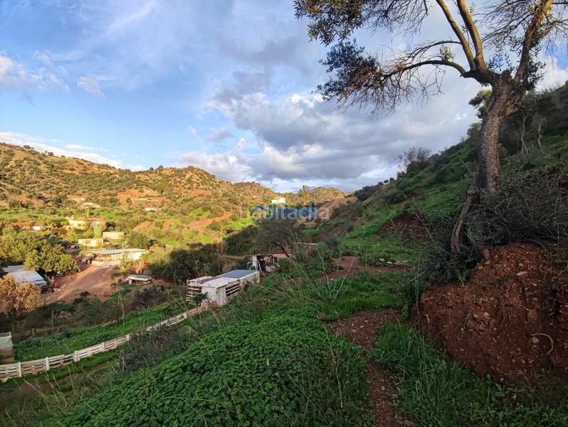 Foto 7de9ad64-3bd1-4d22-bcbd-f88ec88cf048. Finca rústica a El Cortijuelo Málaga