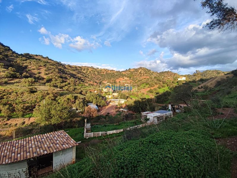 Foto 88aa1612-c416-42d3-8696-f24f27e4cce2. Finca rústica a El Cortijuelo Málaga
