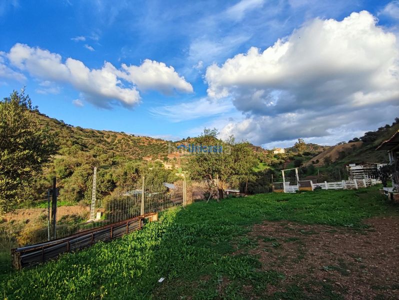 Foto bef3aab4-66b5-47df-84d3-d9cc84cb9716. Finca rústica a El Cortijuelo Málaga