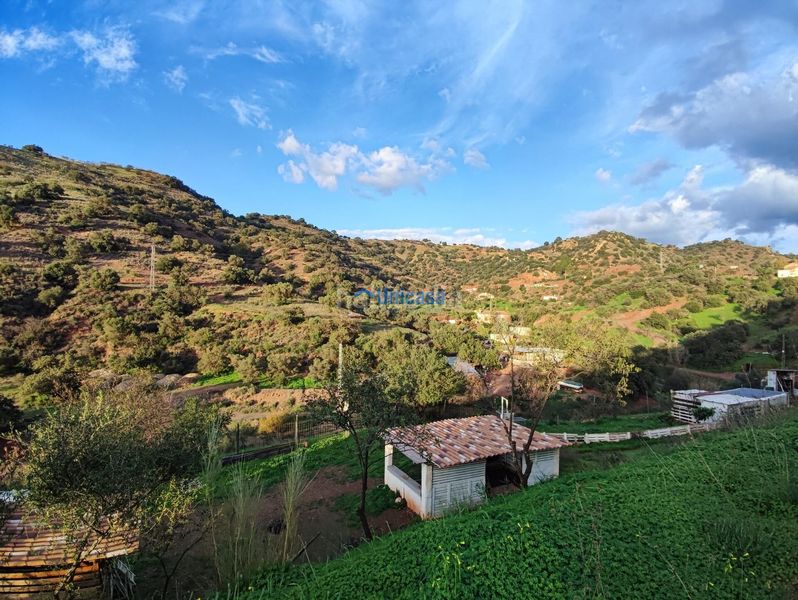 Foto e05c7395-79e6-440f-a94c-70f3a098255a. Finca rústica a El Cortijuelo Málaga