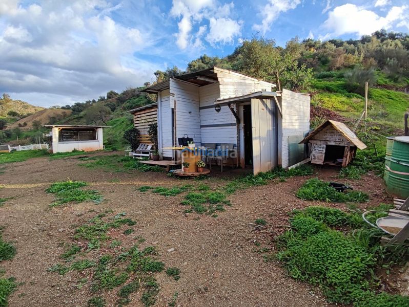 Foto e7ff1cbe-b2d5-4e6d-8fc0-fb62ad6e0536. Finca rústica a El Cortijuelo Málaga