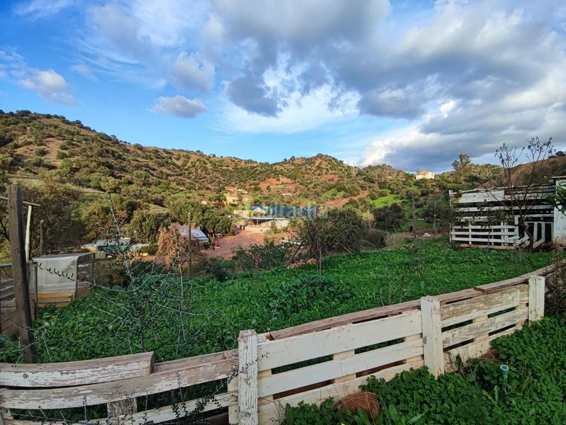 Foto eaaca214-909b-4350-966e-9523638b117e. Finca rústica a El Cortijuelo Málaga