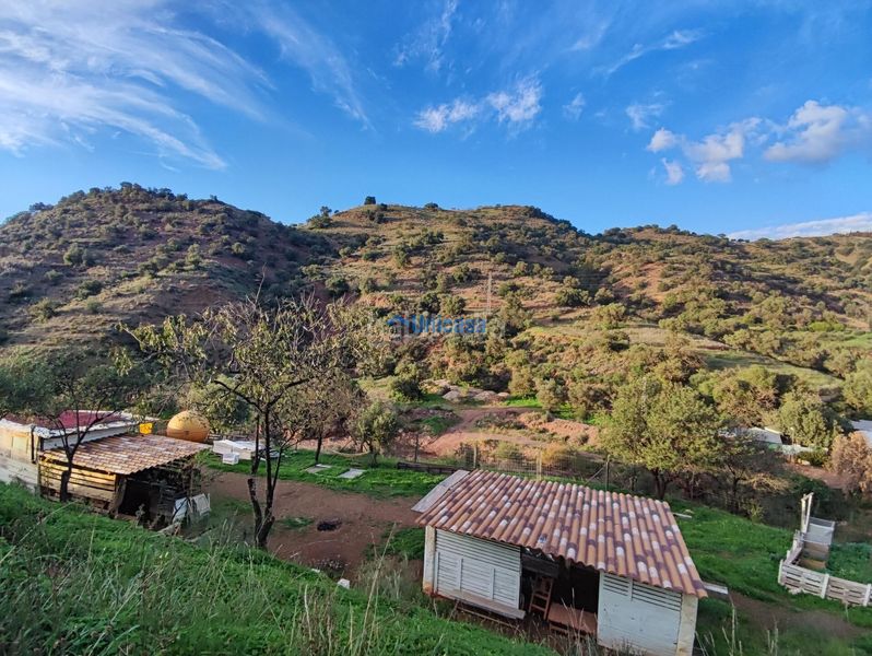 Foto ffd7469c-4a72-432c-b4f6-267654a48c20. Finca rústica a El Cortijuelo Málaga