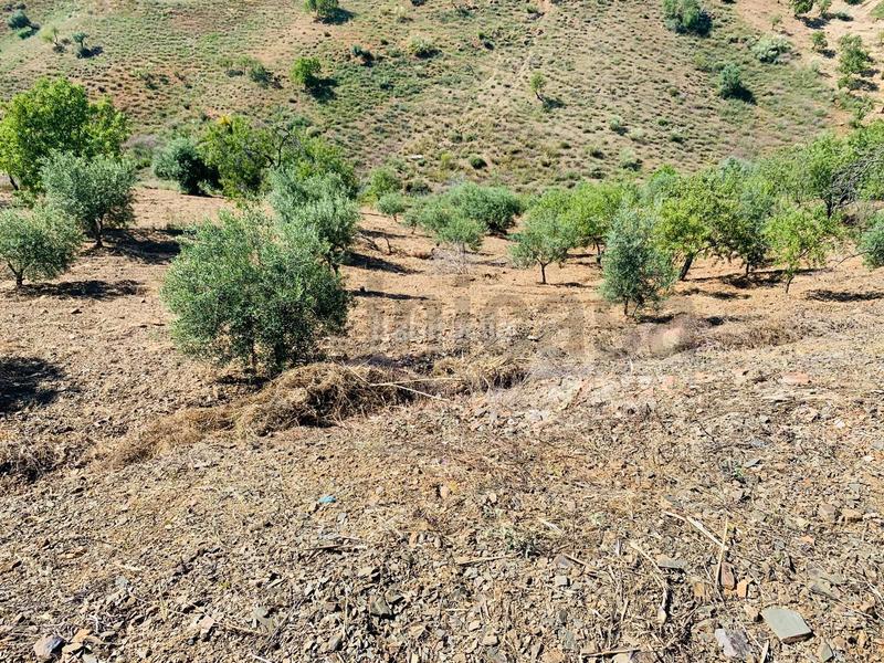 Foto e8aed71b-f13b-4c87-83bd-1d704276a0a4. Chalet avec parking dans Almogía