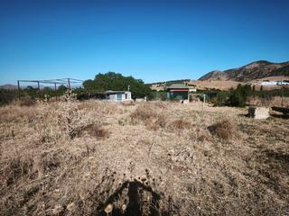 Finca rústica en Cártama. Parcela rústica de 2.250 m en estación de cártama  con casa de a
