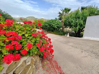 Mas à Almogía. Finca rústica de ensueño con piscina, barbacoa y vistas panorámi
