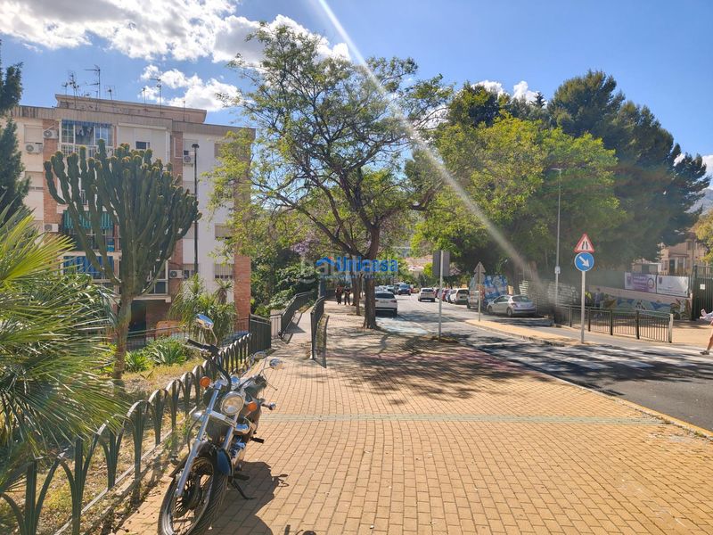 Foto 060f4f99-ac95-4ed0-811f-3ac563afe672. Pis a alegría de la huerta- jardín de Málaga Málaga