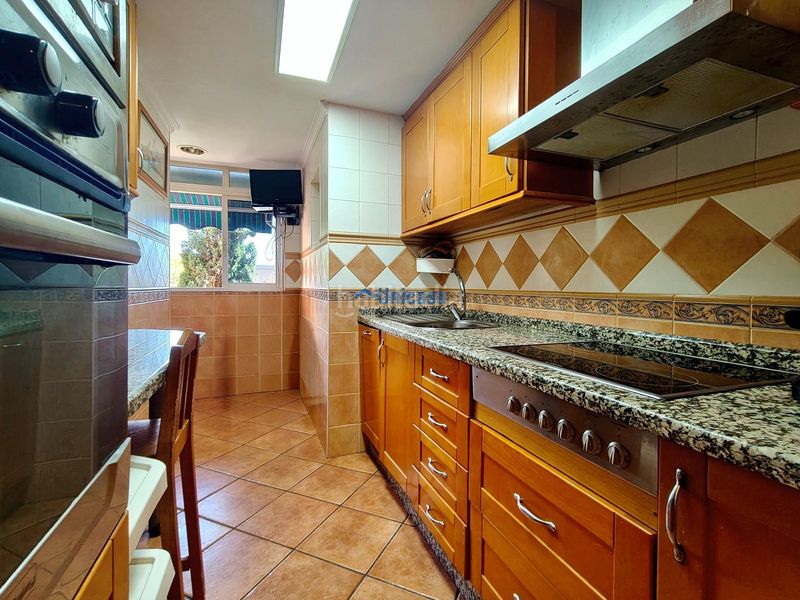 Foto 0ca4f5bd-f752-492d-8374-5af9ff016595. Pis a alegría de la huerta- jardín de Málaga Málaga