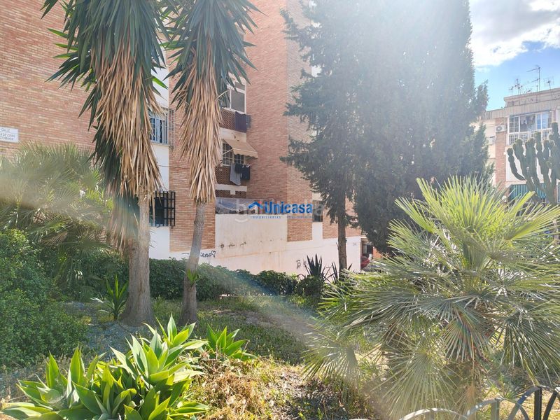 Foto 312224e3-f1d6-4bfa-821d-901796b193fb. Pis a alegría de la huerta- jardín de Málaga Málaga