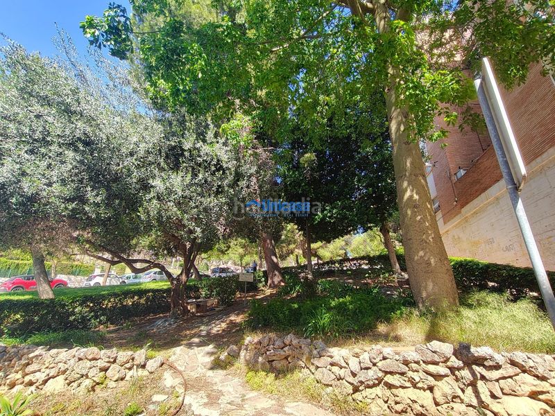 Foto 55ba59ee-8367-41a5-beea-272557766b98. Pis a alegría de la huerta- jardín de Málaga Málaga