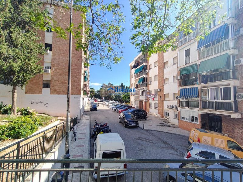Foto 95fb34ca-b681-49a6-bca9-53bc21ed5518. Pis a alegría de la huerta- jardín de Málaga Málaga
