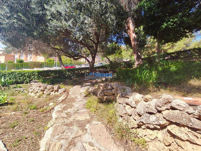 Foto abdbf368-a8fd-4e26-ad5c-5fcfe2b68fcf. Pis a alegría de la huerta- jardín de Málaga Málaga