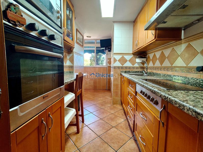 Foto f3d89098-a10d-48b7-80d6-acef69f11269. Pis a alegría de la huerta- jardín de Málaga Málaga