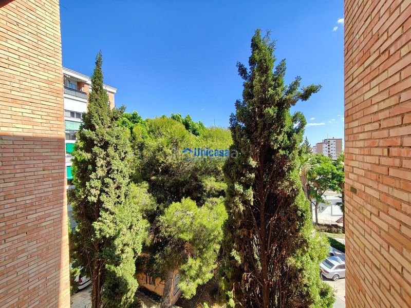 Foto f40e07bd-02eb-4018-a2dc-9305b5d4263d. Pis a alegría de la huerta- jardín de Málaga Málaga